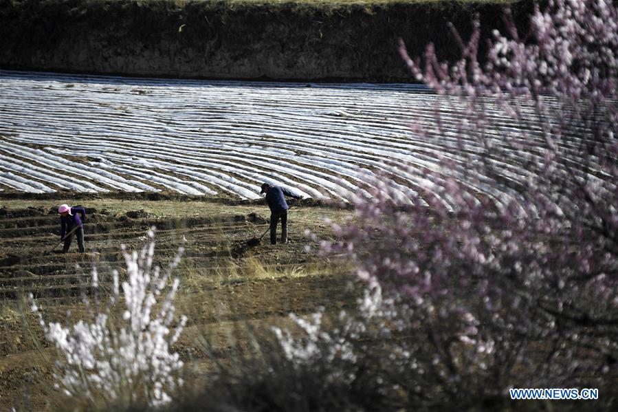 CHINA-NINGXIA-GUYUAN-TERRACE-SCENERY (CN)