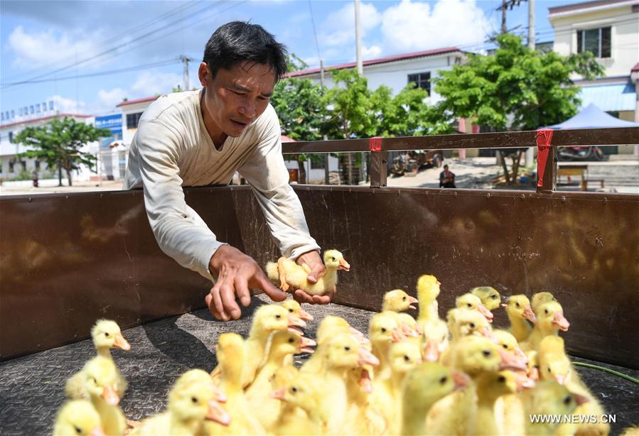 CHINA-HAINAN-POVERTY ALLEVIATION (CN)