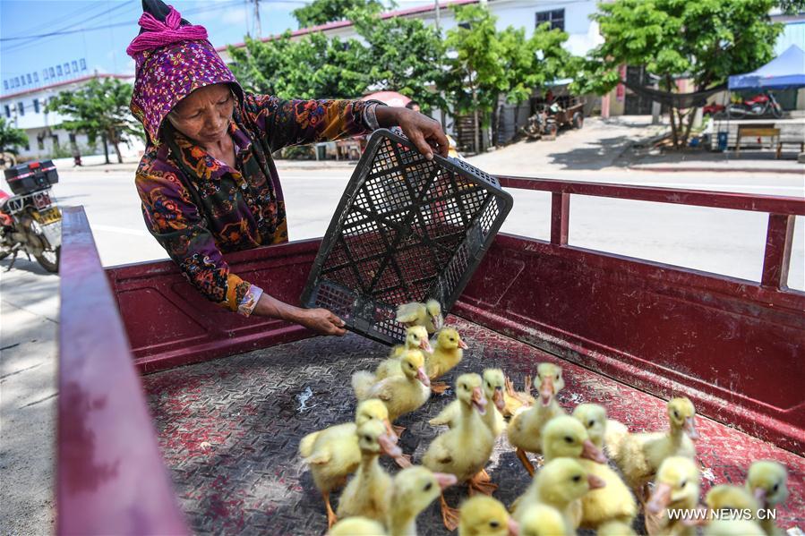 CHINA-HAINAN-POVERTY ALLEVIATION (CN)