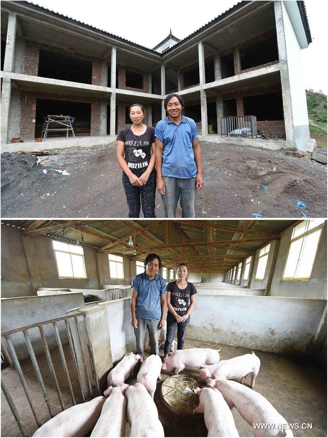 CHINA-YUNNAN-POVERTY ALLEVIATION EFFORTS-PIG RAISING (CN)