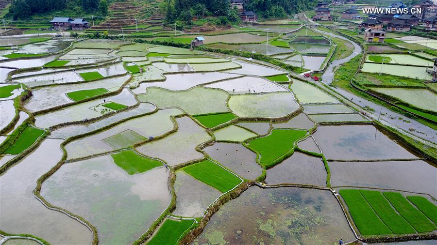 #CHINA-GUIZHOU-FARMLAND (CN) 