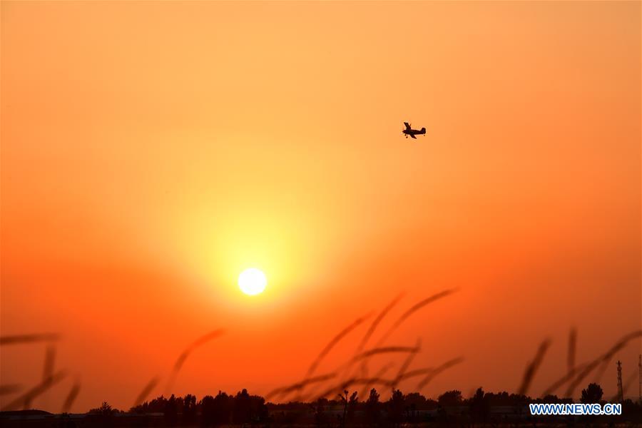 CHINA-HENAN-ANYANG-AEROBATICS (CN)