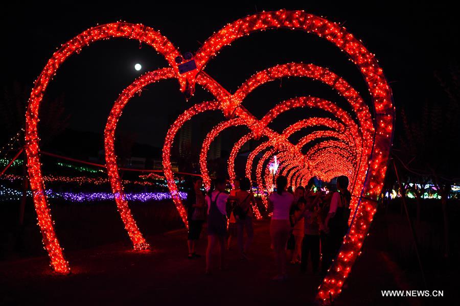 WEEKLY CHOICES OF XINHUA PHOTO