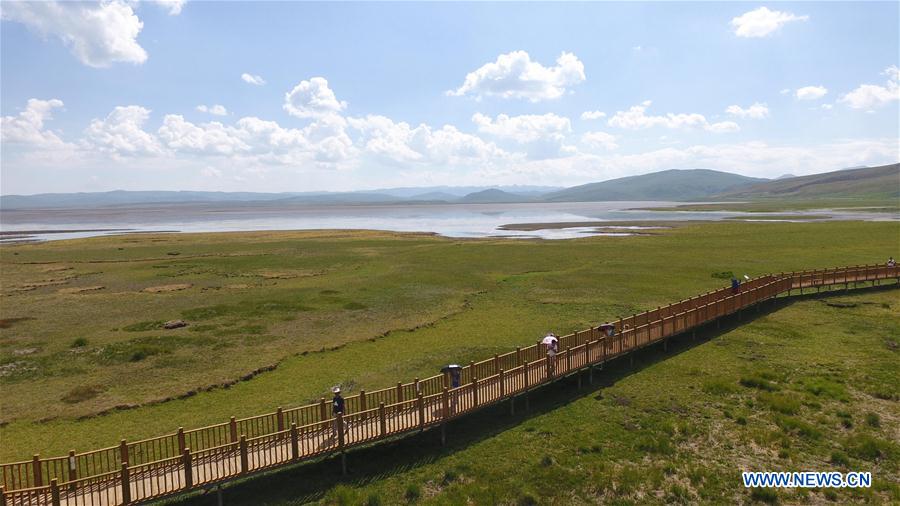 CHINA-GANSU-GANNAN-WETLAND (CN)