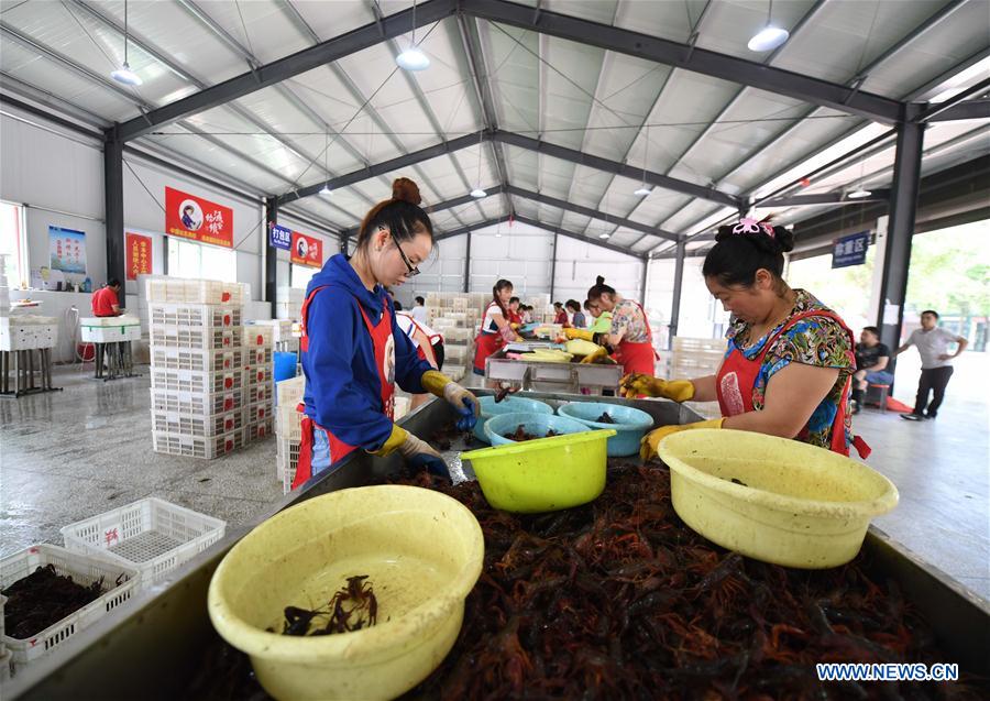 CHINA-HUNAN-PADDY FIELDS-ECOLOGICAL PLANTING (CN) 