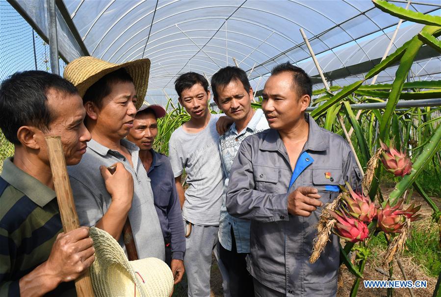 CHINA-FUJIAN-VILLAGE-CPC MEMBERS (CN)