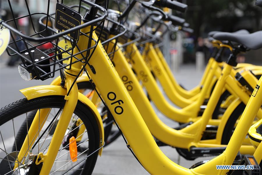 ofo news