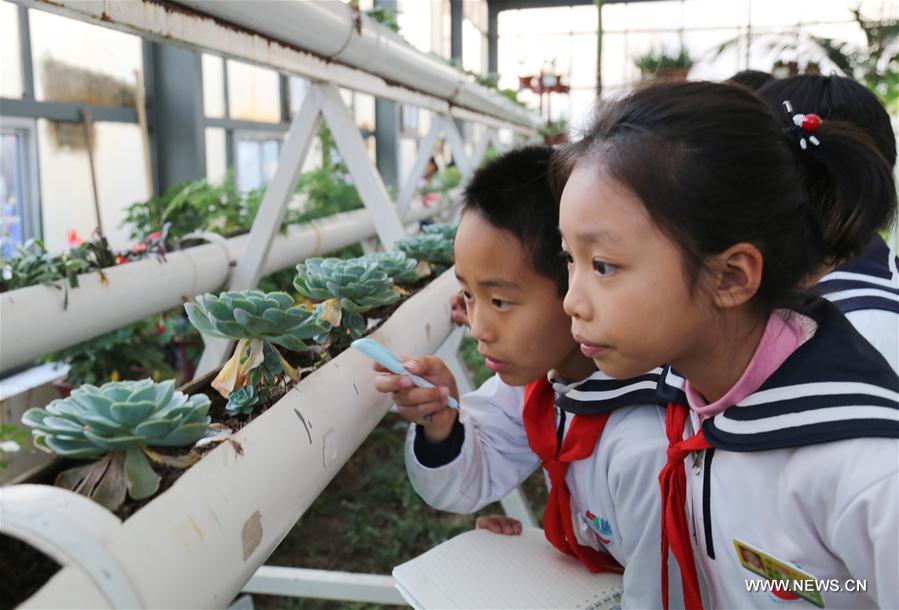 #CHINA-SHANDONG-BINZHOU-BOTANIC PAVILION (CN)