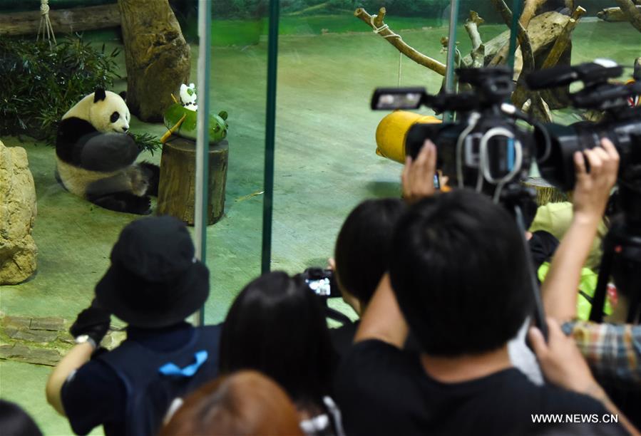 #CHINA-TAIPEI-GIANT PANDA-BIRTHDAY (CN) 