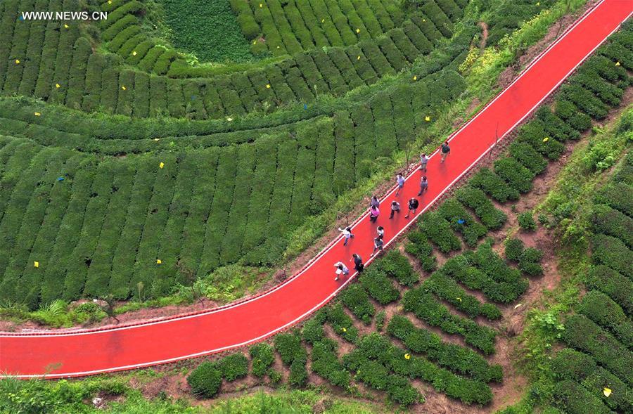 #CHINA-HUBEI-XUAN'EN-TEA GARDEN (CN)