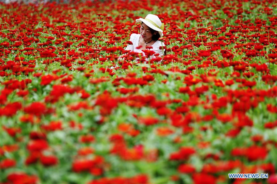 #CHINA-CHONGQING-TOURISM (CN)