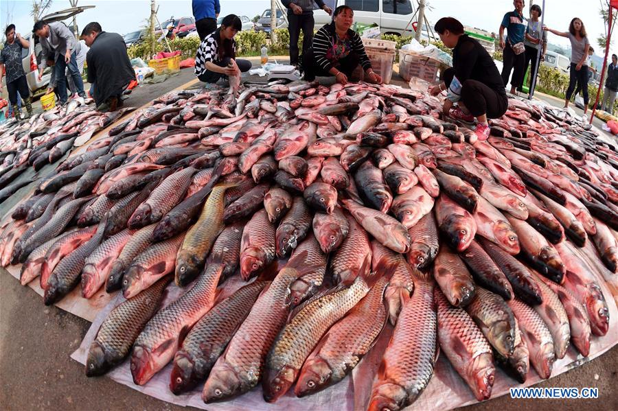 CHINA-KUNMING-DIANCHI LAKE-FISHING-OPEN (CN)