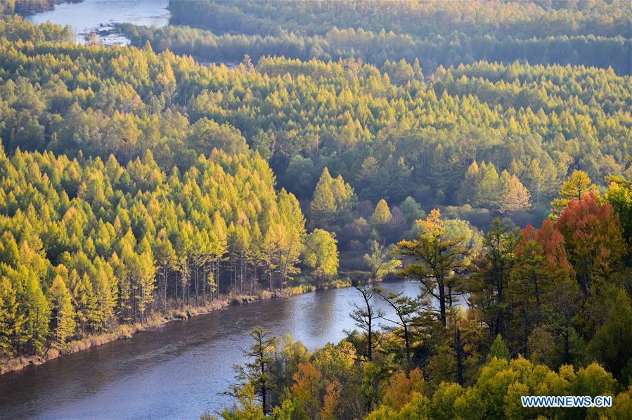 CHINA-INNER MONGOLIA-AUTUMN SCENERY (CN)