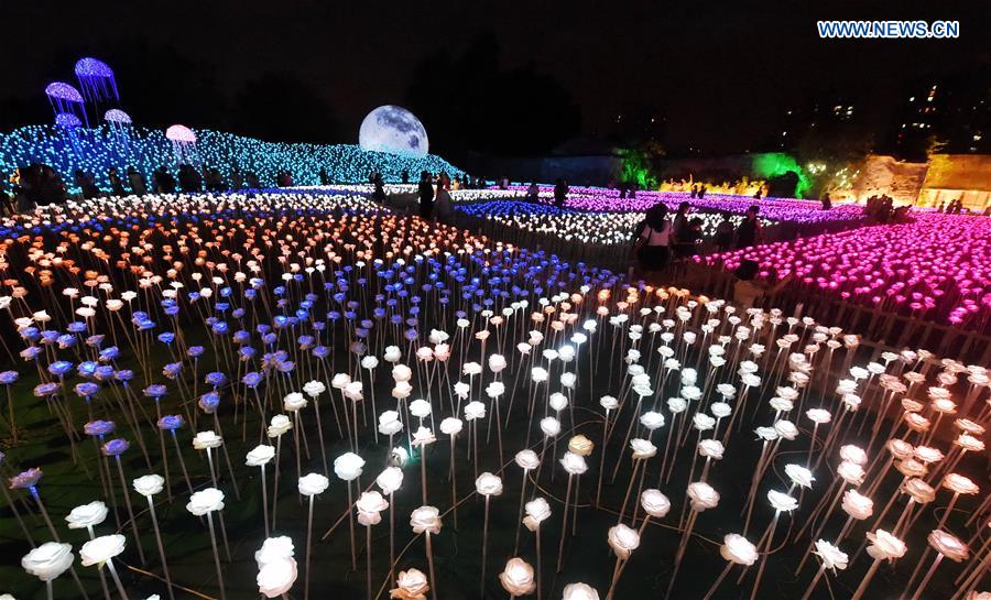 CHINA-FUZHOU-LED LIGHTING SHOW (CN)