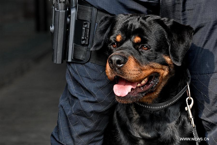 #CHINA-BEIJING-POLICE DOG (CN*)