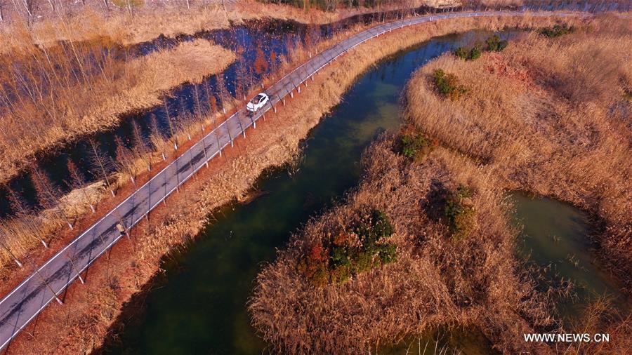 #CHINA-SHANDONG-ZAOZHUANG-WETLAND PARK-SCENERY(CN)