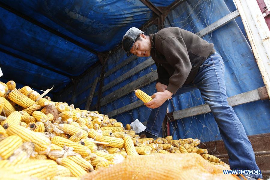 KYRGYZSTAN-ISKRA-CHINESE SEEDS-KYRGYZ FARMERS-BELT AND ROAD