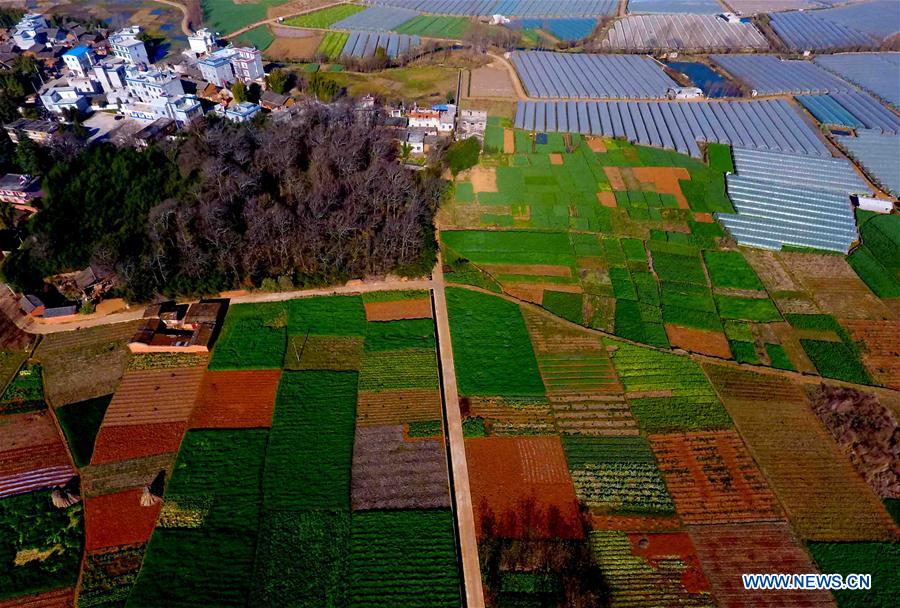 CHINA-YUNNAN-SPRING SCENERY (CN)