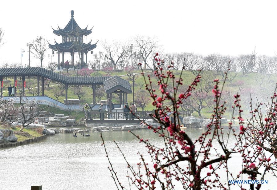 CHINA-JIANGSU-PLUM BLOSSOM FESTIVAL (CN)