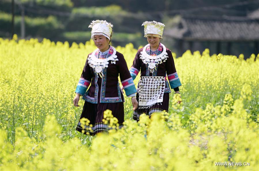 #CHINA-RAPE FLOWER-BLOSSOMING (CN)