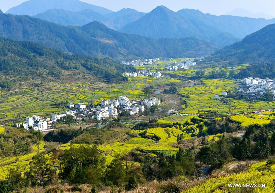 CHINA-JIANGXI-WUYUAN-SPRING SCENERY (CN)