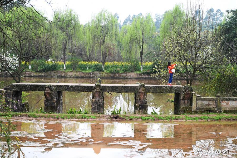 CHINA-CHONGQING-SICHUAN FINE ARTS INSTITUTE-SCENERY (CN)