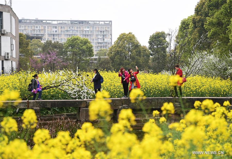 CHINA-CHONGQING-SICHUAN FINE ARTS INSTITUTE-SCENERY (CN)