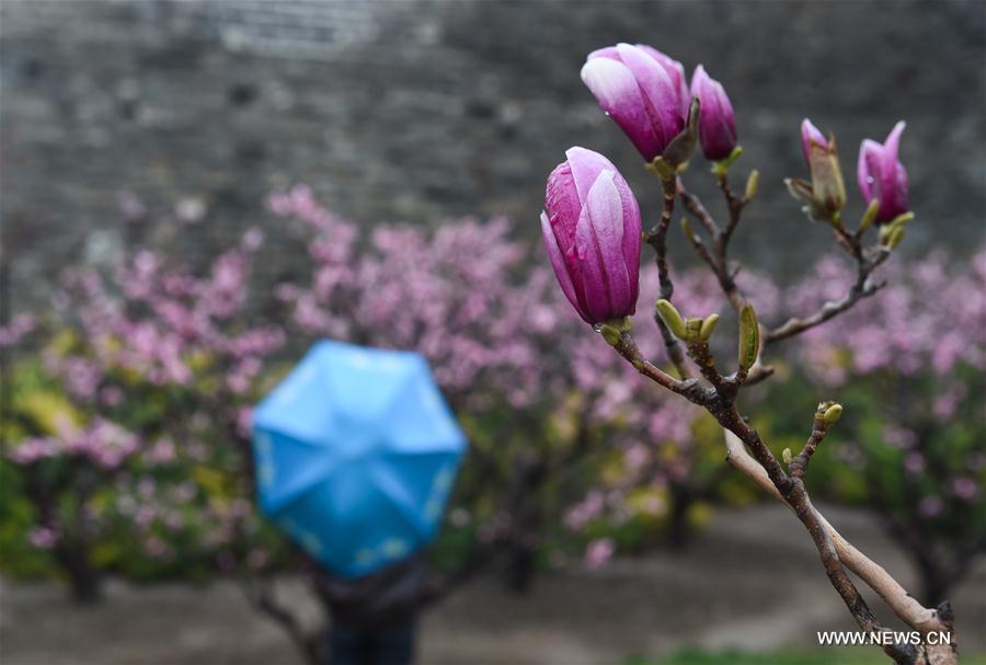 CHINA-BEIJING-RAINFALL (CN)