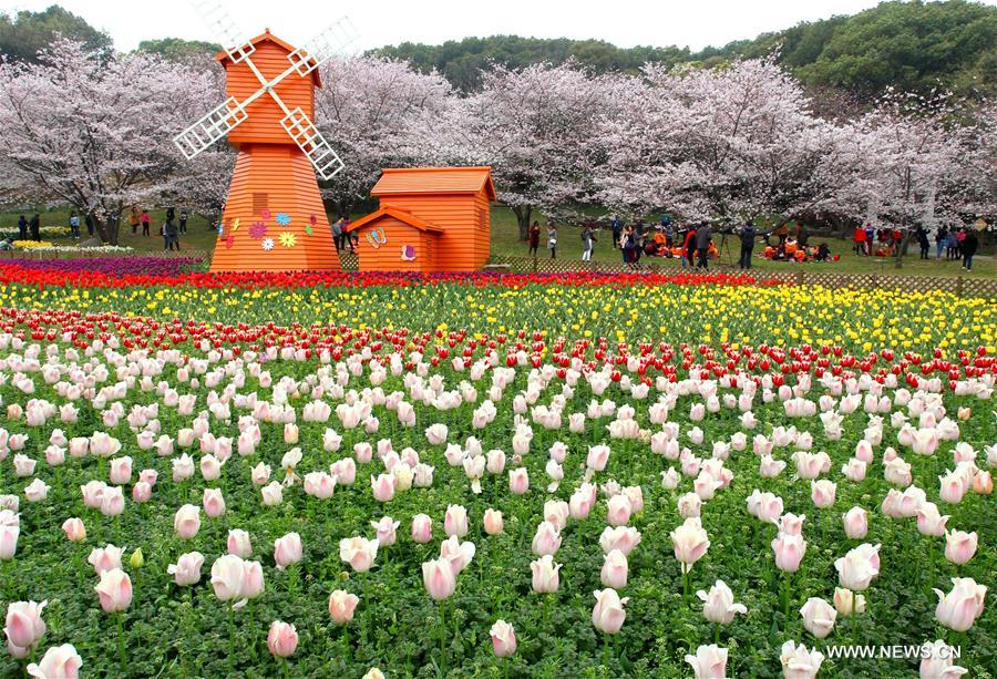 #CHINA-SPRING-FLOWERS (CN)