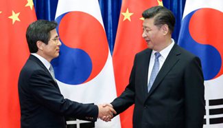 Xi meets South Korean PM