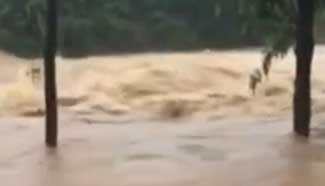 Yangtze River reports first flood peak