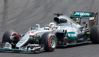 Hamilton claims title during Hungarian F1 Grand Prix
