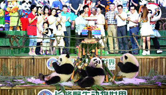 Giant panda triplets in S. China celebrate their second birthday