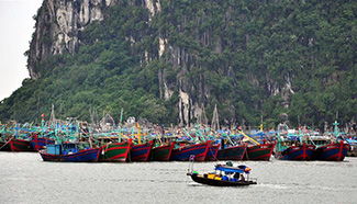 Vietnam making preparation for Dianmu storm