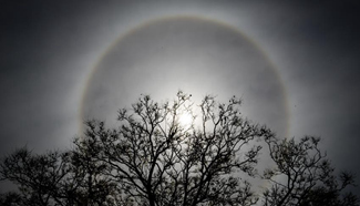 Solar halo seen in South Africa