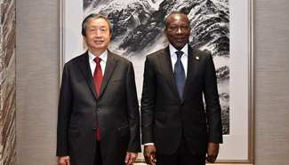 Chinese vice premier meets Benin president