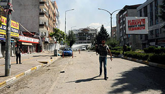 46 wounded in blast in Turkey's Van Province: media