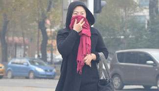 Heavy smog hits NE China's Harbin