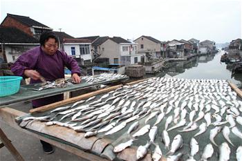 Villagers dry fish to make popular snacks in E China