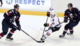 KHL: HC Slovan Bratislava beats Amur Chabarovsk 2-0