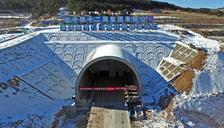 Longest tunnel along China's high-speed railway completed
