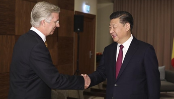 Xi meets Belgian king, supports European integration