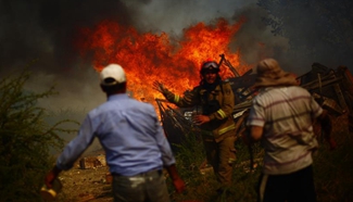 9 killed in Chile forest fires