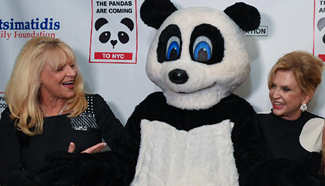 Black & White Panda Ball held in NYC