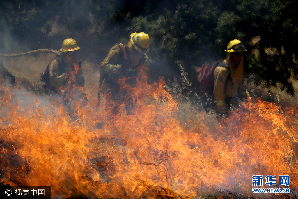 美国加州举行野外消防演习 消防员草地中上演