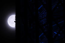 超級圓月懸夜空 世界多地賞美景