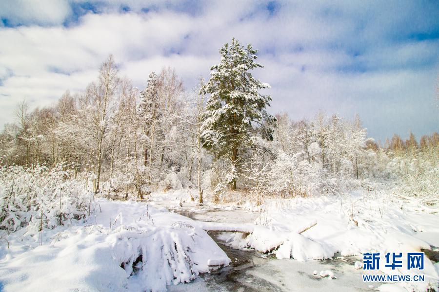 银装素裹！白俄罗斯：雪景如画