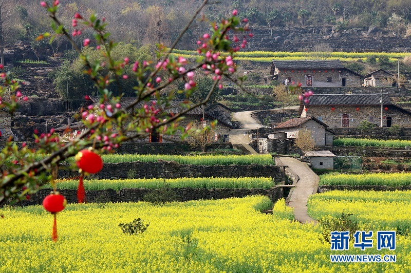 湖北宜昌:古韵悠长石屋村 农旅融合展新颜