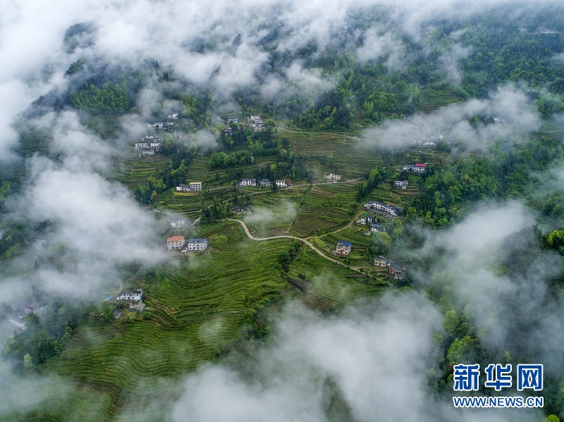 航拍湖北恩施市屯堡乡马者村选住组的新农村与茶园.