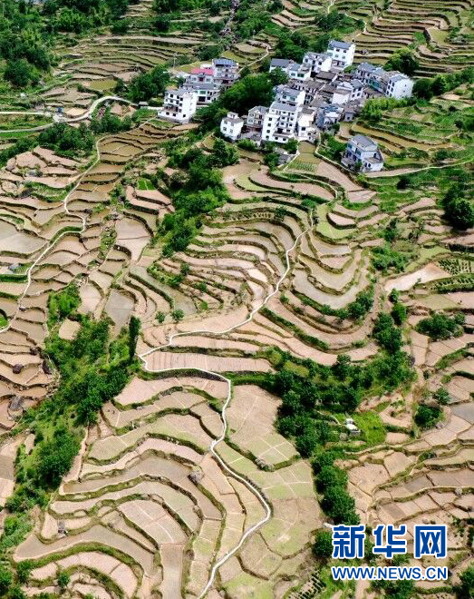 6月8日拍摄的安徽省黄山市歙县三阳镇白石源村上坦的高山梯田风光